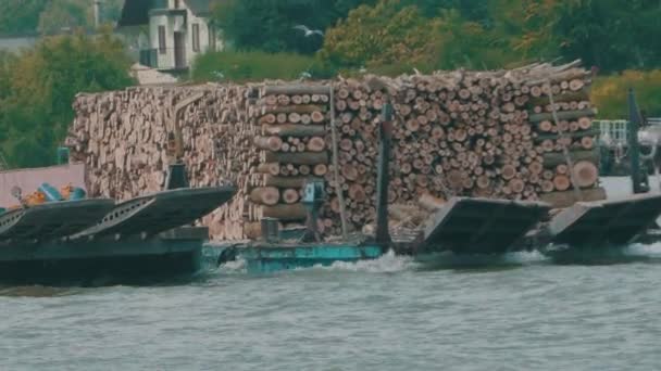 多瑙河上一艘运送木材的驳船 — 图库视频影像