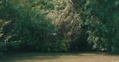 Delta 'da Tuna nehri boyunca yol alıyoruz..
