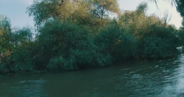 Widok Kanał Delty Dunaju — Wideo stockowe