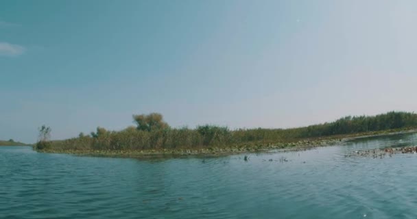 ルーマニアのドナウ デルタ フローラ居留地の眺め — ストック動画
