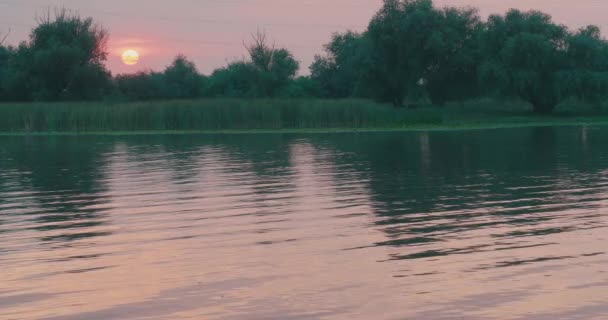 Widok Zachód Słońca Delcie Dunaju Rezerwacji — Wideo stockowe