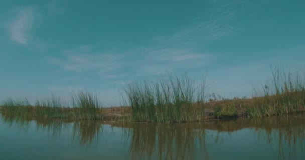 Bir Nehrin Issız Kıyı Şeridi Boyunca Yol Alıyoruz — Stok video