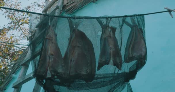 Carpe Fumée Traditionnelle Poisson Danube — Video