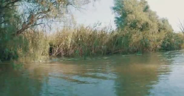 Flore Sur Réserve Delta Danube — Video