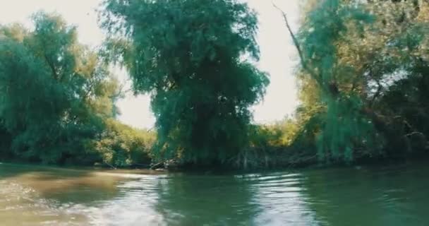 다뉴브강 수로를 항해하는 — 비디오