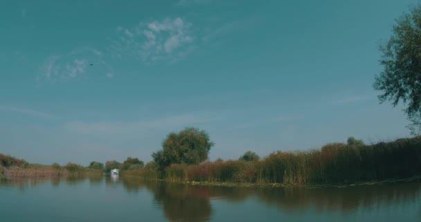 Rezervace Břehů Delty Dunaje — Stock video