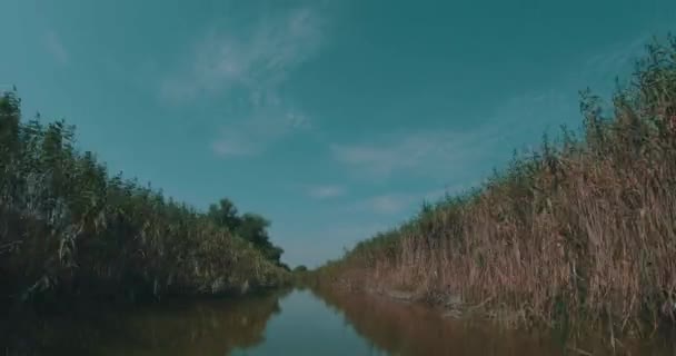 Швидка Подорож Моторним Човном Дунайському Каналі — стокове відео