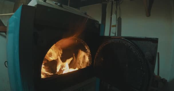 Flames Escaping Mouth Wood Central Stove — Stock Video
