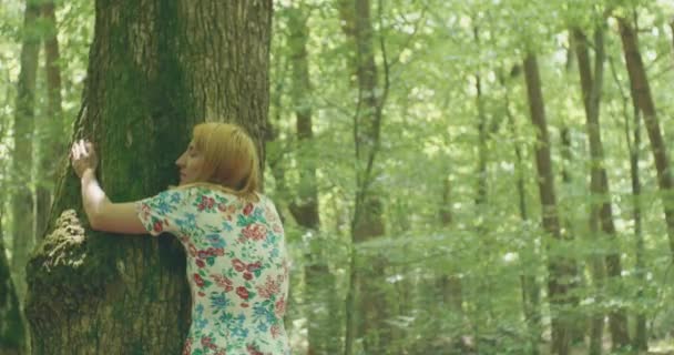 Blond Kvinna Kramar Ett Träd Skogen Stockvideo