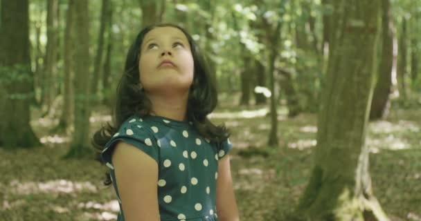 Zagubiona Lesie Mała Dziewczynka Rozgląda Się Strachu — Wideo stockowe