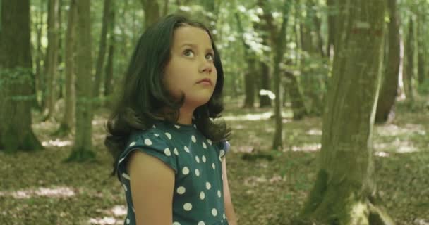 Little Girl Wondered Nature Beauty Forest — Stock Video