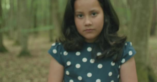Portret Van Een Jarig Meisje Het Zomerwoud Stockvideo