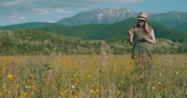 Kadın güneşli çayırlarda kır çiçekleri topluyor..