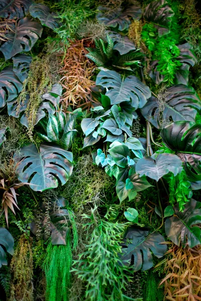 Antecedentes Plantas Verdes Creciendo Edificio —  Fotos de Stock