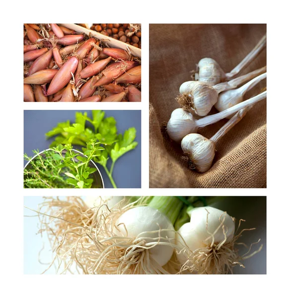 Collage Various Cuisine Ingredients —  Fotos de Stock