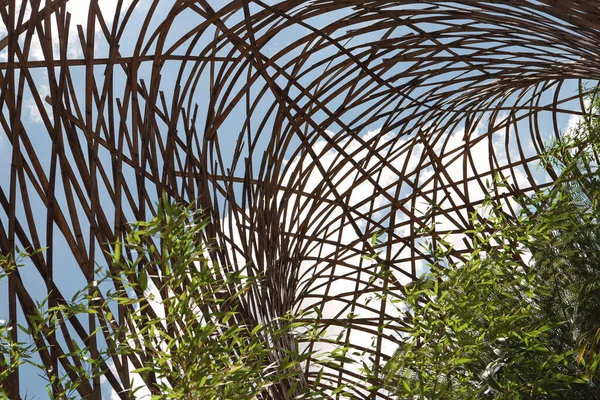 Bambus Unter Einem Hölzernen Spalier — Stockfoto