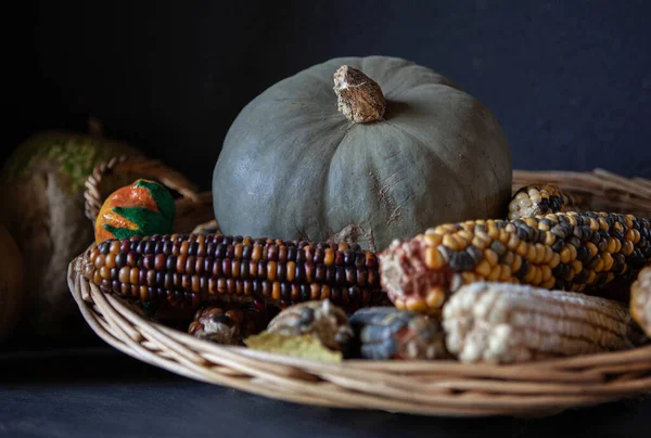 Pumpkins Ears Corn Wicker Basket — 스톡 사진