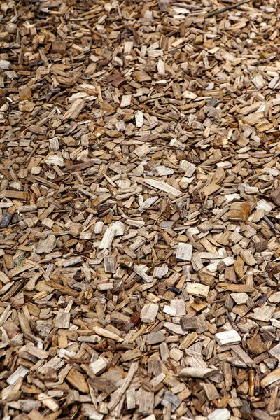 Hackschnitzel Auf Dem Boden Garten — Stockfoto