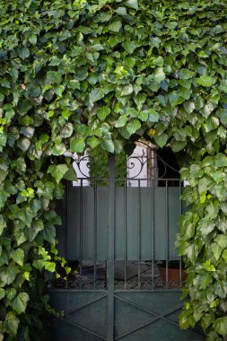 Sebze bahçesinin önünde.