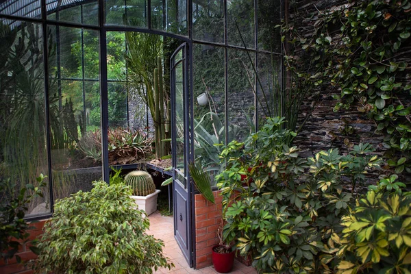 Interior Stylish Vintage Greenhouse — Zdjęcie stockowe