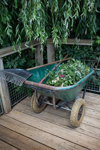 Jardinage Sur Ponton Été — Photo