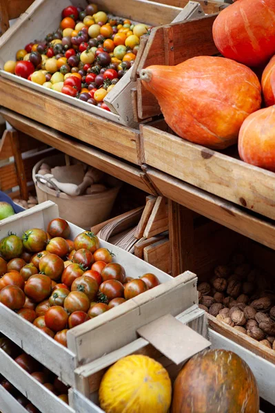 食料品店のトマトとカボチャ — ストック写真