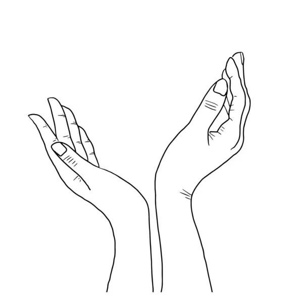 Ellerin vektör çizimi. Süs için. Tebrik için bir unsur. Yazdırma için resim.
