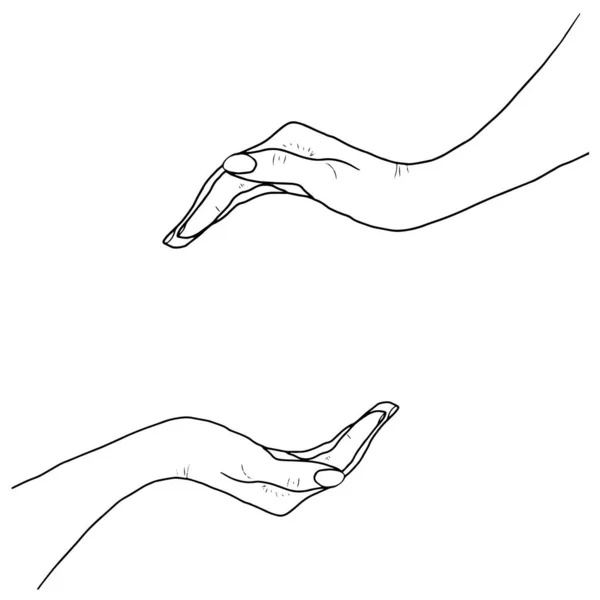 Ilustración vectorial de manos. Adorno para la decoración. Un elemento de felicitación. Ilustración para imprimir. — Archivo Imágenes Vectoriales