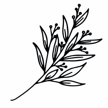 Vektör Tatil Dalı. Davetiyeler için resim. Tebrikler için Mutlu Noeller..