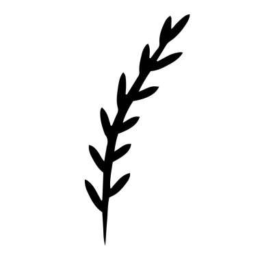 Vektör dalı. Davetiyeler için resim. Tebrik etmek için tasarlandı. Tasarım için öge.