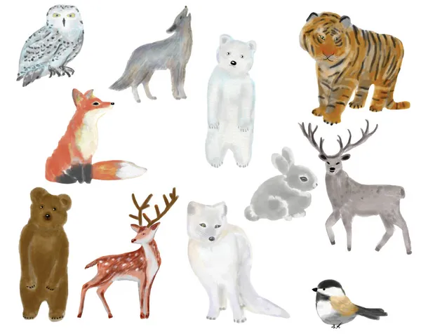 森の動物や鳥。フクロウ、オオカミ、クマ、トラ、キツネ、ウサギ、鹿、ノロジカ、北極キツネ、鳥。おめでとうございますイラスト。休日のためのデザイン。絵葉書 — ストック写真