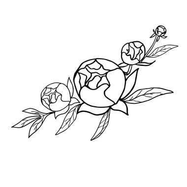 Şakayık çiçekleri. Çiçeklerin ve yaprakların bitkisel çelenkleri. İllüzyon. Vektör tasarımı.