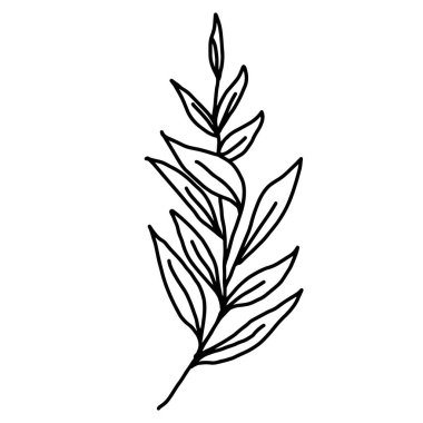 El çizimi vektör çiçeği çizimi. Tasarım için dekoratif elementler. Beyaz bir arka planda izole edilmiş. Nakış, kartpostallar ve davetiyeler için süs