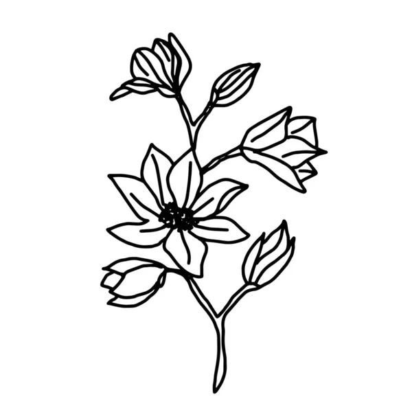 El çizimi vektör çiçeği çizimi. Tasarım için dekoratif elementler. Beyaz bir arka planda izole edilmiş. Nakış, kartpostallar ve davetiyeler için süs — Stok Vektör