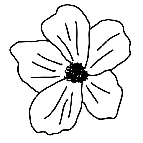 Desenho de flor vetorial desenhado à mão. Elementos decorativos para design. Isolado sobre um fundo branco. Ornamento para bordados, cartões postais e convites —  Vetores de Stock