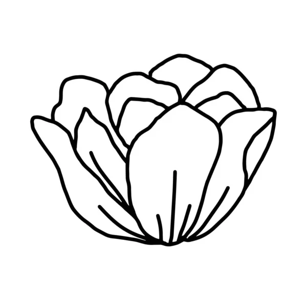 Desenho de flor vetorial desenhado à mão. Elementos decorativos para design. Isolado sobre um fundo branco. Ornamento para bordados, cartões postais e convites — Vetor de Stock