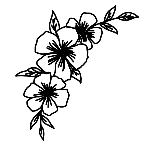 Disegno di fiore vettoriale disegnato a mano. Elementi decorativi per il design. Isolato su uno sfondo bianco. Ornamento per ricami, cartoline e inviti — Vettoriale Stock