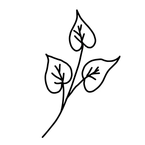 Handgezeichnete Vektorblumenzeichnung. Dekorative Elemente für das Design. Vereinzelt auf weißem Hintergrund. Ornament für Stickereien, Postkarten und Einladungen — Stockvektor