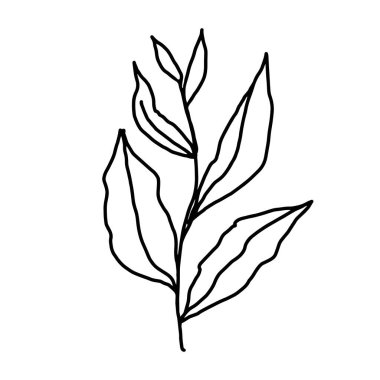 El çizimi vektör çiçeği çizimi. Tasarım için dekoratif elementler. Beyaz bir arka planda izole edilmiş. Nakış, kartpostallar ve davetiyeler için süs.