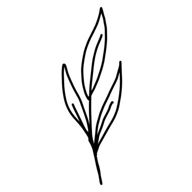 El çizimi vektör çiçeği çizimi. Tasarım için dekoratif elementler. Beyaz bir arka planda izole edilmiş. Nakış, kartpostallar ve davetiyeler için süs