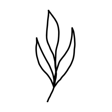 El çizimi vektör çiçeği çizimi. Tasarım için dekoratif elementler. Beyaz bir arka planda izole edilmiş. Nakış, kartpostallar ve davetiyeler için süs