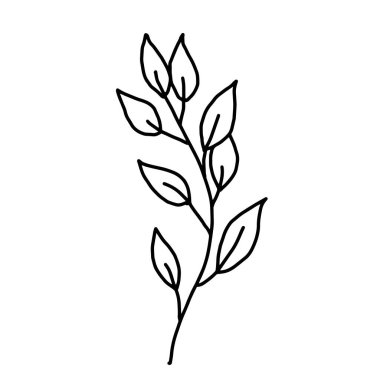 El çizimi vektör çiçeği çizimi. Tasarım için dekoratif elementler. Beyaz bir arka planda izole edilmiş. Nakış, kartpostallar ve davetiyeler için süs