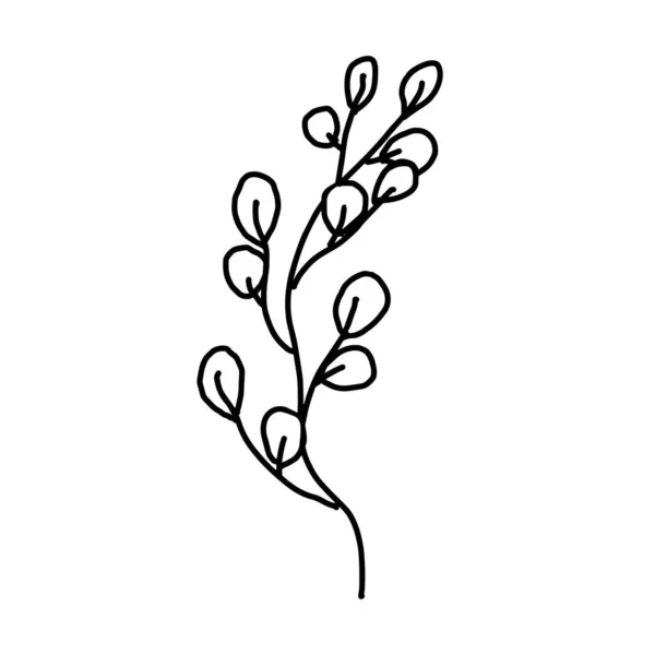 Handgetekende vector bloem tekening. Decoratieve elementen voor design. Geïsoleerd op witte achtergrond. Ornament voor borduren, ansichtkaarten en uitnodigingen — Stockvector