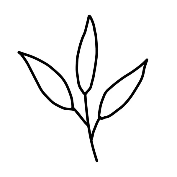 Handgezeichnete Vektorblumenzeichnung. Dekorative Elemente für das Design. Vereinzelt auf weißem Hintergrund. Ornament für Stickereien, Postkarten und Einladungen — Stockvektor