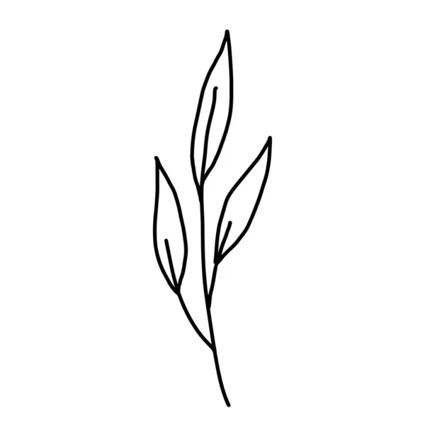 Handgetekende vector bloem tekening. Decoratieve elementen voor design. Geïsoleerd op witte achtergrond. Ornament voor borduren, ansichtkaarten en uitnodigingen — Stockvector