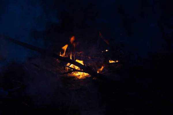 Fire Bonfire Burns Night High Quality Photo — Foto de Stock