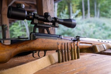 Tokarev otomatik doldurma tüfeği. Yüksek kalite fotoğraf
