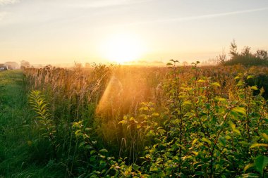 Yeşil çimlerle kaplı bir tarlanın üzerinde resim gibi gün doğumu. Yüksek kalite fotoğraf