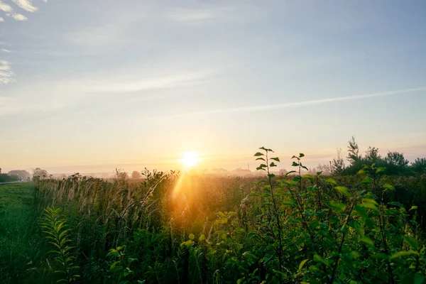 Живописный Восход Солнца Над Полем Зеленой Травой Высокое Качество Фото — стоковое фото