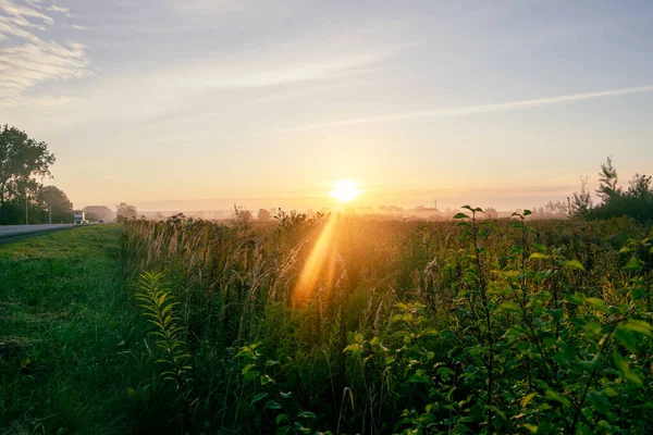 Picturesque sunrise over a green field near the road. High quality photo